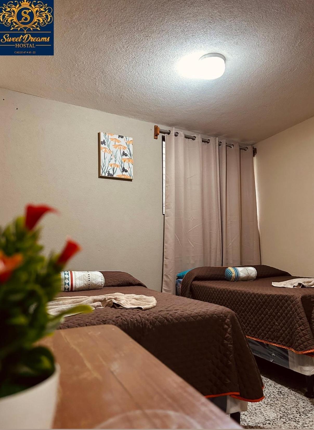 Hostal Sweet Dreams 파나하첼 외부 사진